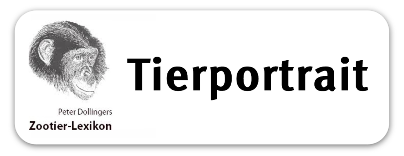Tierportrait
