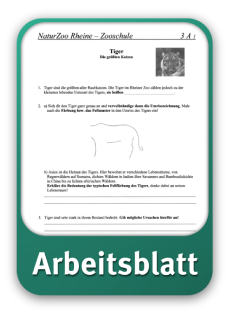 Arbeitsblatt