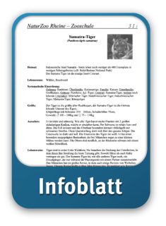 Infoblatt
