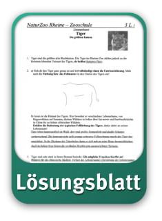Lösungsblatt