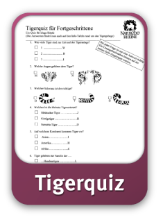 Tigerquiz