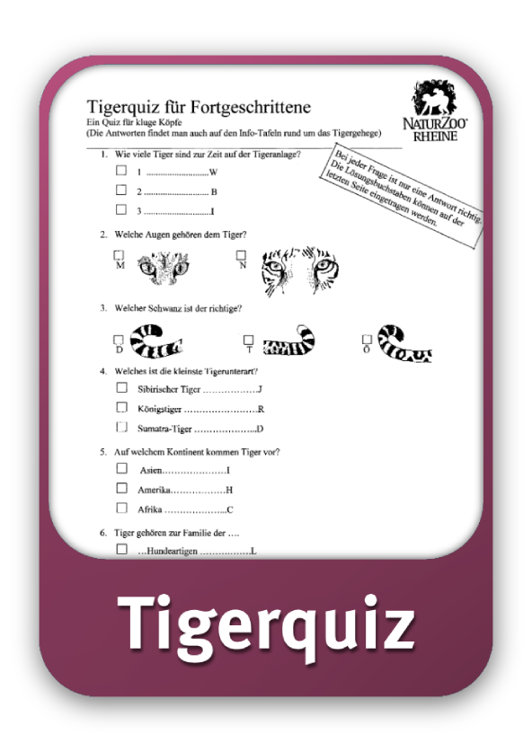 Quiz Tiger
