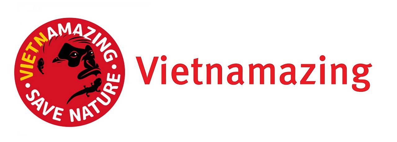 Logo der Kampagne "Vietnamazing" als Link zu deren Webseite