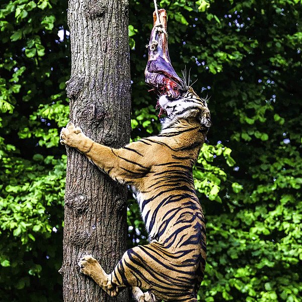 Bild: Jörg Everding